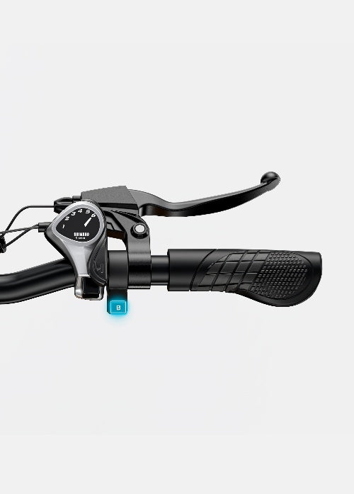 England/EU: ENGWE 20" EP-2 Boost EU Legal 250W 120km Boost Power Torque Sensor All-Terrain Foldable E-Bike
