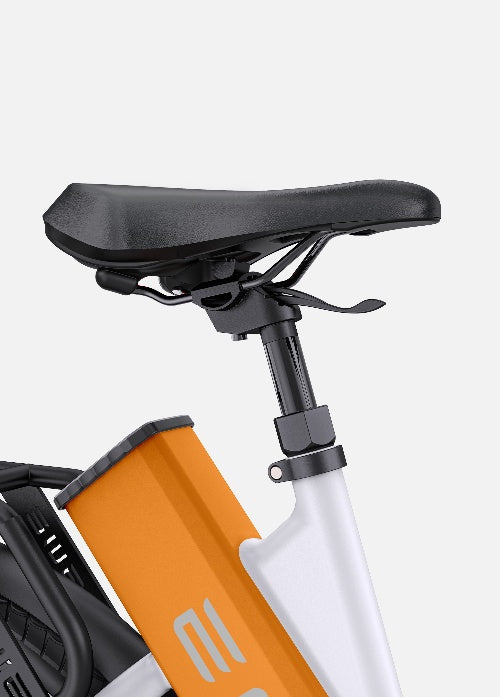 EU: ENGWE 27.5" P275 ST 250W Ananda Mid-drive Motor 70NM Torque Step Thru Urban E-Bike